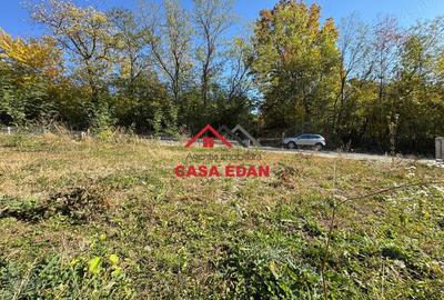 Casă cu Teren 500 Mp în Cornu - 8