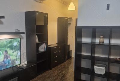 Garsonieră nedecomandată în Chitila - 1