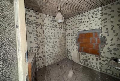 Casă individuală cu 11 camere cu Canalizare în Dristor - 8