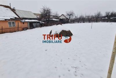 Spațiu comercial, în Cetate