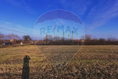 Teren intravilan 4400 mp sau parcele - 3