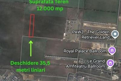 Teren Tunari - Loturi Tunari- 12.000 mp - 2