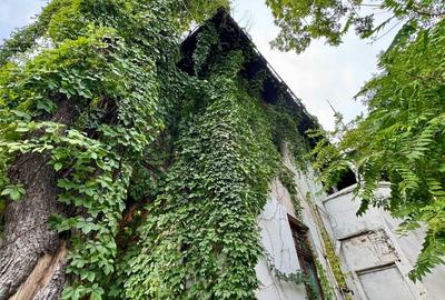 REV2004936 Vila cu teren I Calea Victoriei I De vanzare - 18