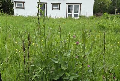 Casă cu 4 camere în Brebu - 2