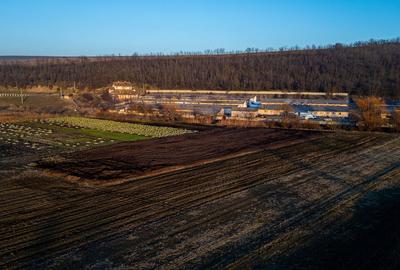 Spațiu comercial, de 50,000 mp, în Central - 18