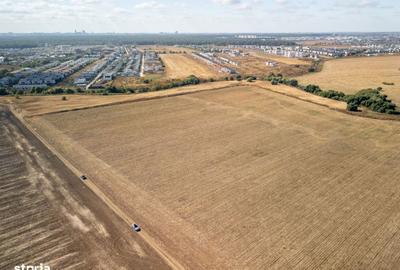Teren de 16500 mp, în Tunari - 8