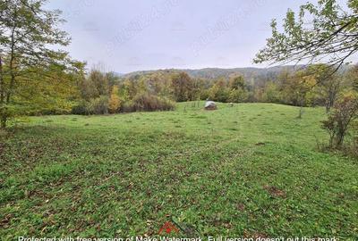 Casă cu Teren 14340 Mp în Breaza - 9