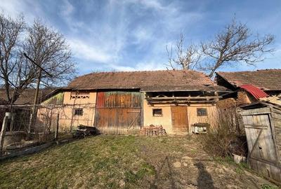 Casă cu Teren 1897 Mp în Troița - 6