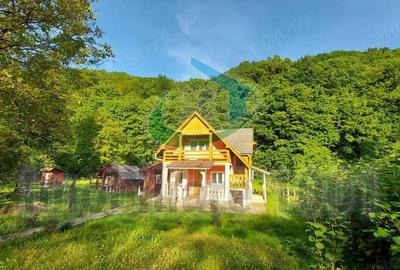 Casuta din Povesti, Baita, 1332 mp teren intravilan, la liziera padurii - 3