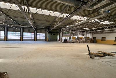 Spațiu industrial, de 35,092 mp, în Valu lui Traian - 7