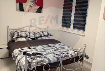 Penthouse cu 2 camere decomandat, mobilat în Calea București - 3