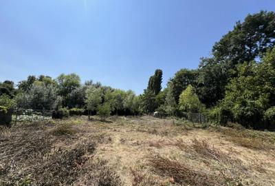 Teren de 2537 mp, în Siliștea Snagovului - 13