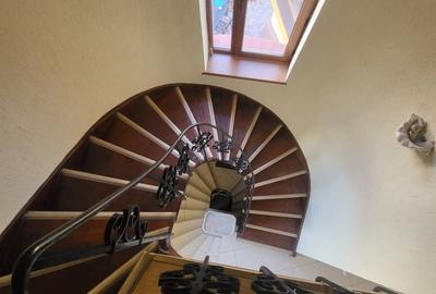 Vila boiereasca, superba, strada, linistita, nelipita de vreun alt imobil Vila boiereasca, superba, strada, linistita, nelipita de vreun alt imobil - 20