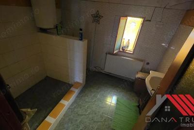 Topolova?u Mare Casa si Teren 1683 mp - 48.500 euro - 8