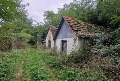 Teren de 79000 mp, în Central - 25