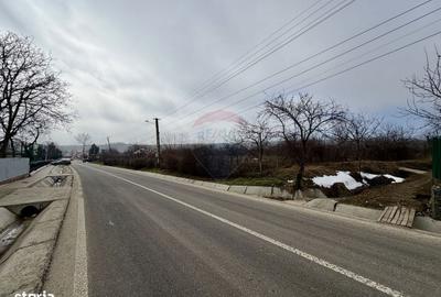 Casă cu 4 camere în Blidari - 20