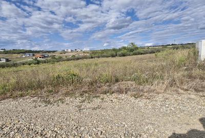 Teren Construcții intravilan de 680 mp, în Săldăbagiu de Munte - 4