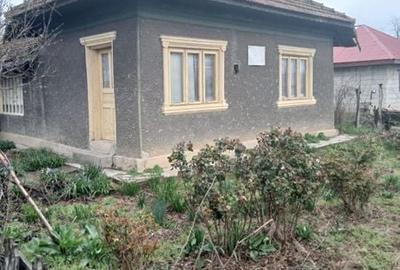 Casă cu 4 camere cu Teren 12000 Mp în Mânăstirea - 3