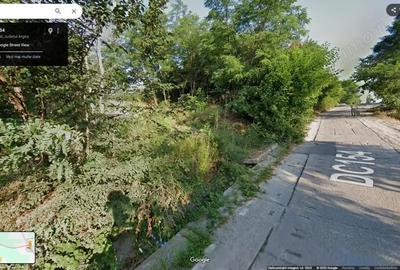 Teren de 10000 mp, în Gura Văii - 4