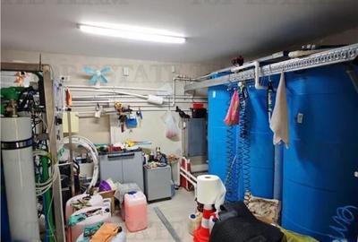 Spațiu comercial, de 329 mp, în Domnești - 12