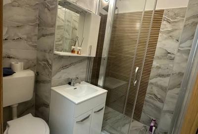 Pantelimon-parcul Florilor - 2