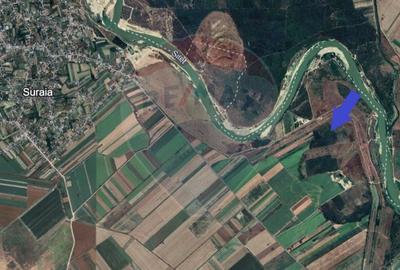 Teren extravilan de 80000 mp, în Suraia - 2