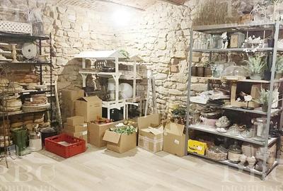 Inchiriere spatiu comercial alimentatie publica in Piata Muzeului Inchiriere spatiu comercial alimentatie publica in Piata Muzeului - 13