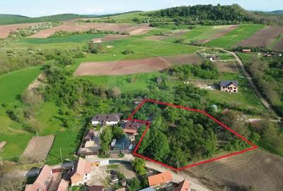 Teren de 3269 mp, în Slimnic - 3