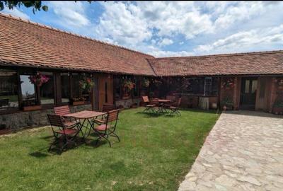 CASA\VILA DE VANZARE \COM. OBREJA\SAT IAZ\CARA?-SEVERIN - 16