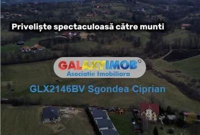 Spațiu comercial, în Predeluț - 2