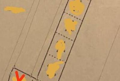 De vanzare terenuri extravilane in Sfantu Gheorghe - 8