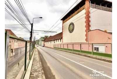 Fabrică de vânzare în Mediaș -Activ industrial cu istorie si potential - 4