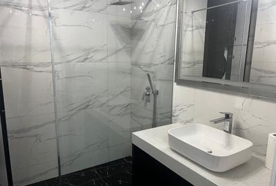 Apartament cu 2 camere decomandat în Borhanci - 4