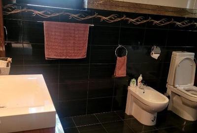 Casa Sacerdateanu superba construc?ie noua - 12