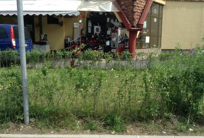 Spațiu comercial, de 100 mp, în Triaj - 8