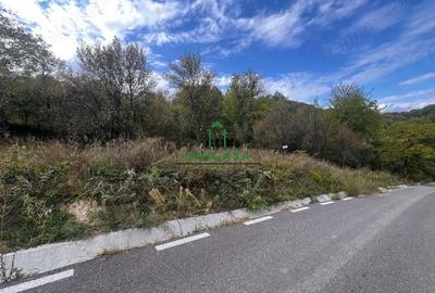 Teren de 828 mp, în Curăturile - 1