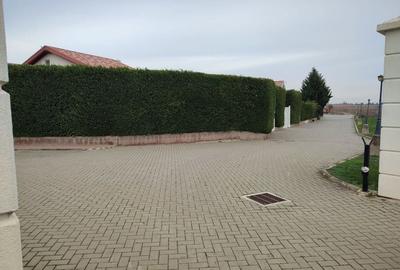 Casă cu 5 camere cu Teren 500 Mp în Sânandrei - 14