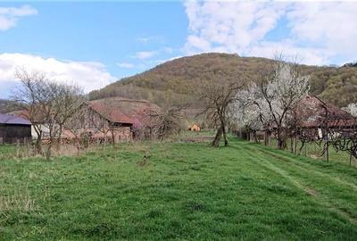 Casa si 3919 mp teren intravilan  in  Bucuresci, jud. Hunedoara - 9