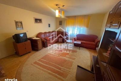 Casă cu 3 camere cu Teren 4484 Mp în Pianu - 1