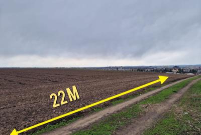 Teren agricol intravilan de 10000 mp, în Vest - 2