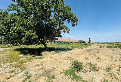 Teren 11.404mp, Biharia la 1km de Autostrada A3 - 14