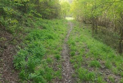 Teren de 2200 mp, în Vlădești - 3
