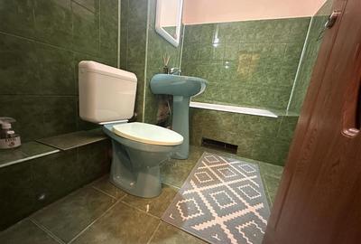 Apartament cu 2 camere decomandat, mobilat în Lipovei - 8