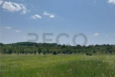 Teren de 685 mp, în Paleu - 2