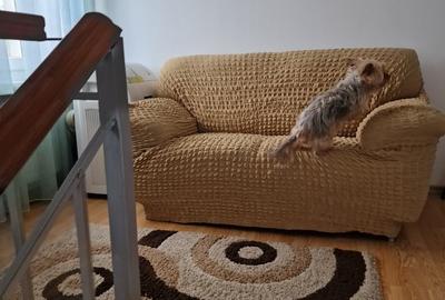 Casă cu 7 camere cu Teren 255 Mp în Central