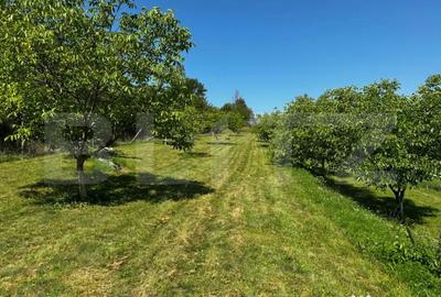 Teren de 1800 mp, în Vălișoara - 2
