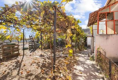 Casă cu 2 camere cu Teren 476 Mp în Șofronea - 4