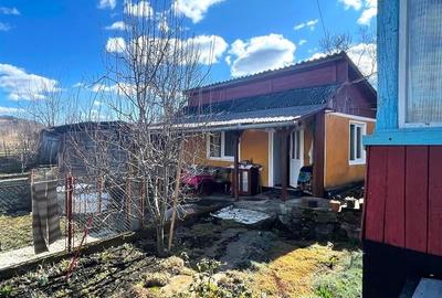 TUR 3D! Locuinta traditionala + 4300 mp teren,pomicultura,anexe:oaza de liniste, - 19