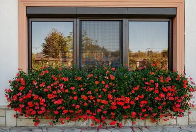 Casa deosebita de vanzare | House for sale | 1.000.000 € negociabil - 5