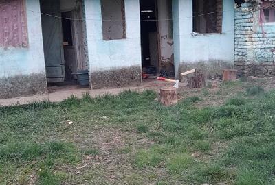 Casă individuală cu 2 camere cu Teren 2121 Mp în Ciocaia - 7